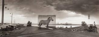 Road to Factory With Zebra