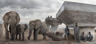 Bridge Construction with Elephants & Workers