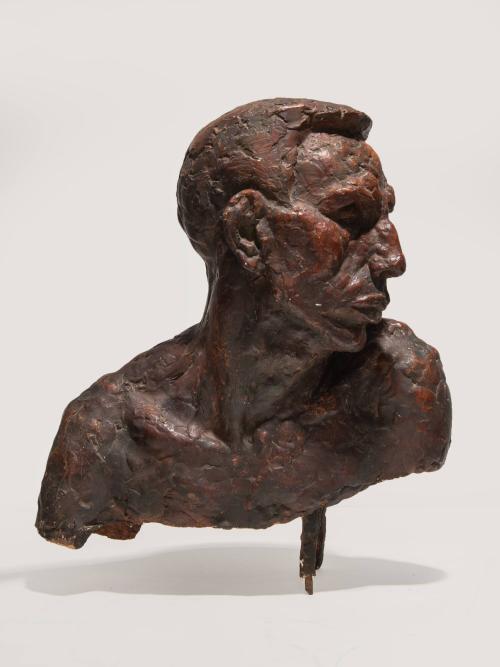 [Bust study for "Saltine Warrior"]