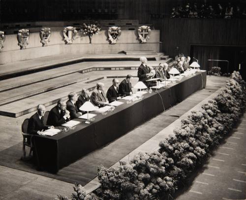 [Hydrangea Competition]