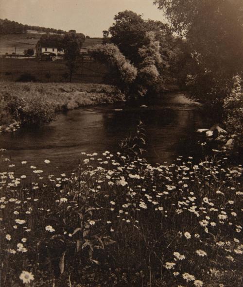 [Pictorial landscape with flowers and stream]