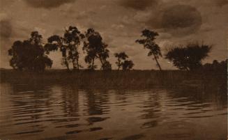 [Pictorial study of pond with trees]