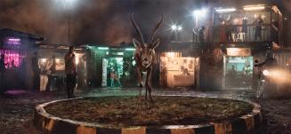 Roundabout with Gazelle