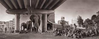 Underpass With Elephants & Glue-Sniffing Children