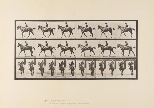 Annie G and Rider, Plate 580