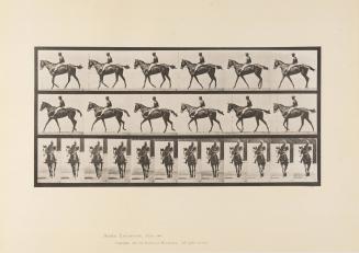 Annie G and Rider, Plate 580