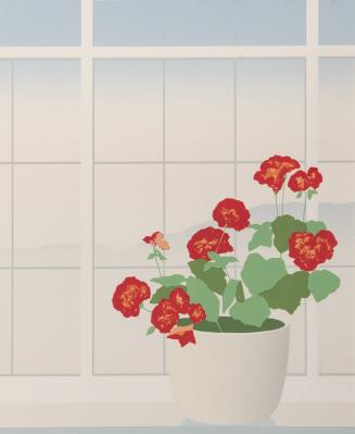Geraniums