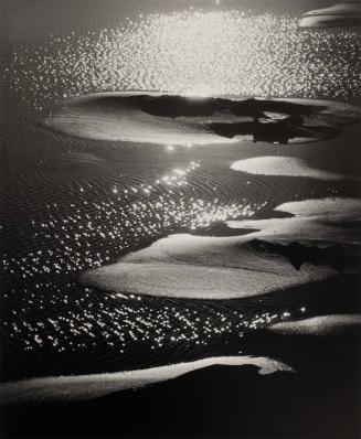 Plage de Camargue