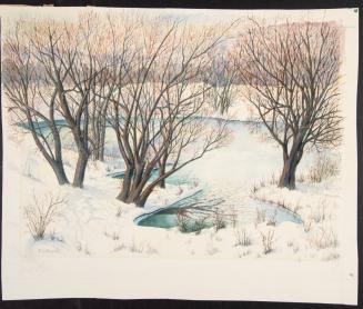 Trees around a pond in winter