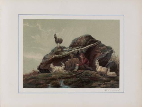 The Young Herdsman