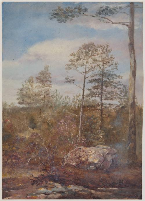 [Landscape with trees]