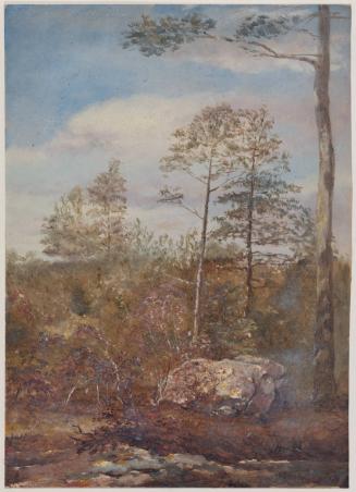[Landscape with trees]