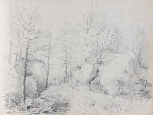 [Landscape with rocks and trees]