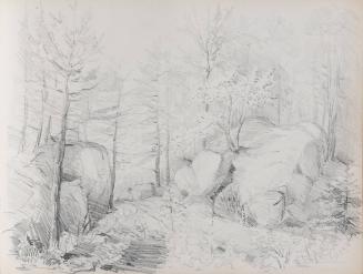 [Landscape with rocks and trees]