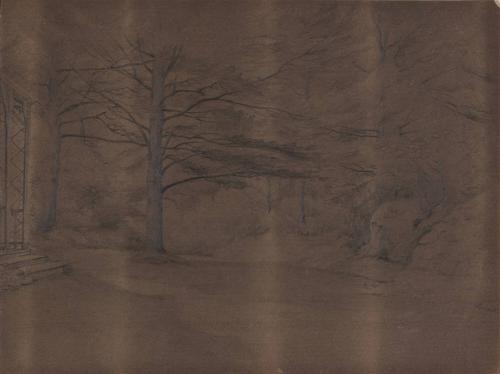 [Landscape with tree]