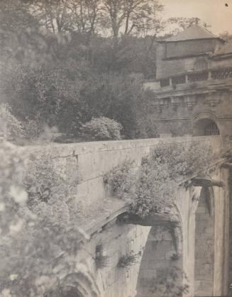 The Terrace.