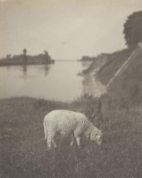 The Loire and the lamb.