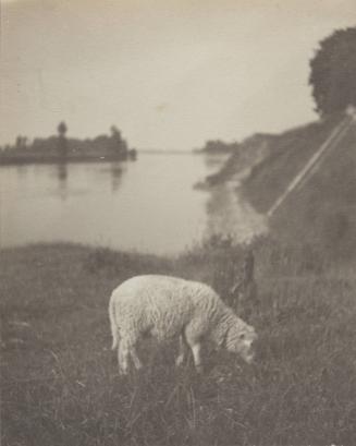 The Loire and the lamb.