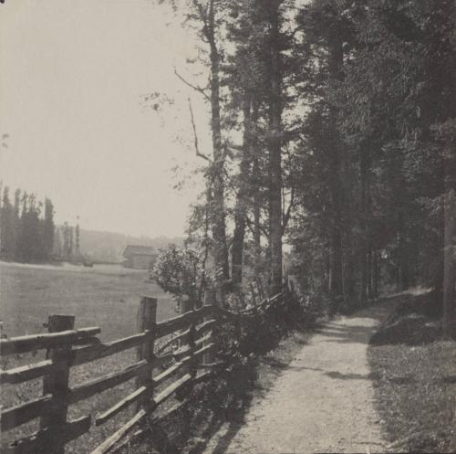 The Professor's Walk.