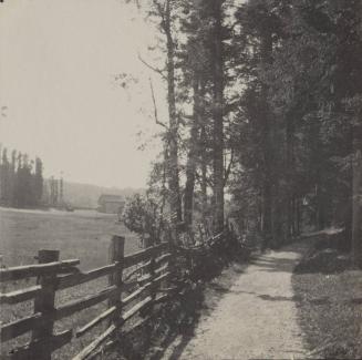 The Professor's Walk.