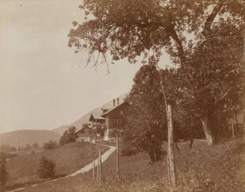 The same, another view.