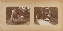 Page 41 of the photo album