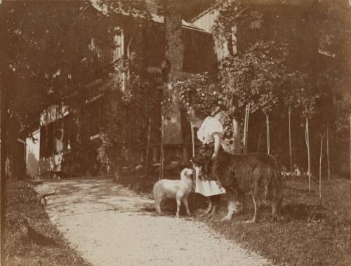 [Kerry child with lamb and dog]
