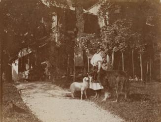 [Kerry child with lamb and dog]