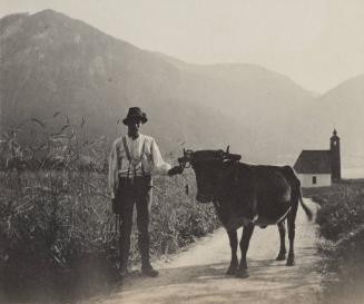 [Man and black cow]