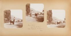 Page 57 of the photo album