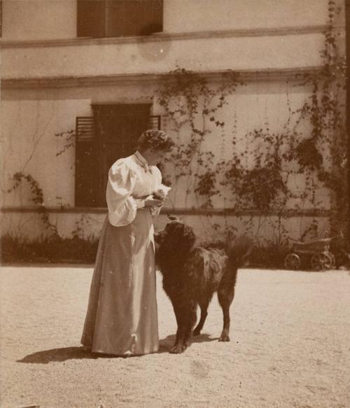 [Woman holding kitten, standing next to dog]