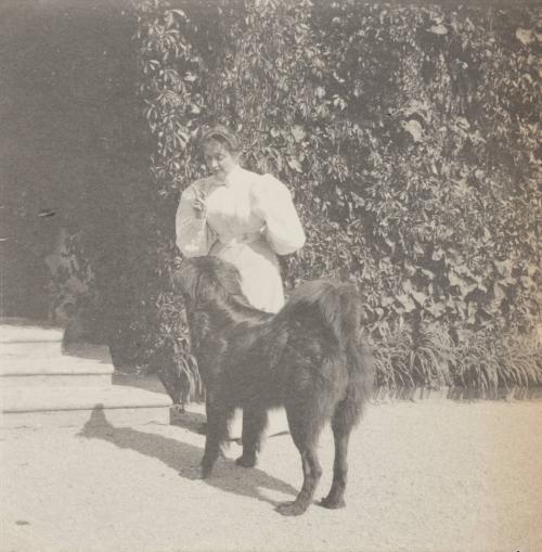 In the garden, Villa Billroth. St. Gilgen.