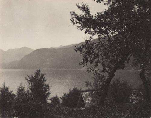 "WolfgangSee," - (the Lake) from the "Genuesegarten," Billroths'.