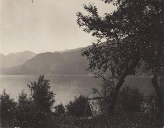 "WolfgangSee," - (the Lake) from the "Genuesegarten," Billroths'.