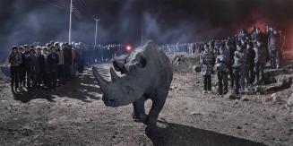 River of People with Rhino