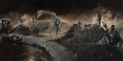 Charcoal Burning with Giraffe & Worker