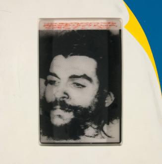 Transparency, Che Guevara II