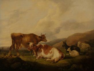 [Lanscape with cows, sheep,  and goats]
