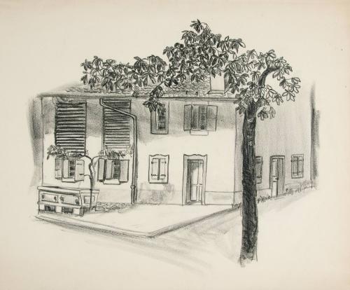 Untitled (street corner with tree)