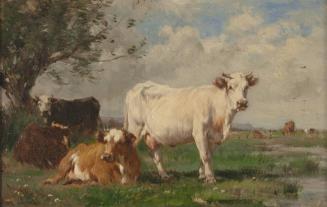 [Landscape with cattle]