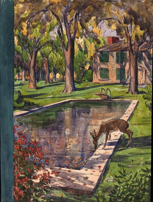 [Deer at swimming pool]