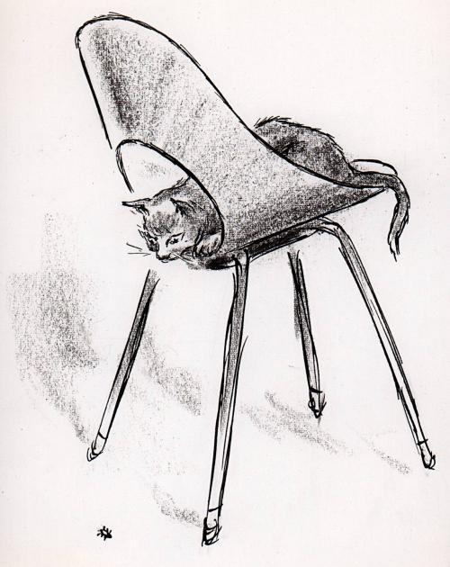 No caption (cat in modern chair watching insect)