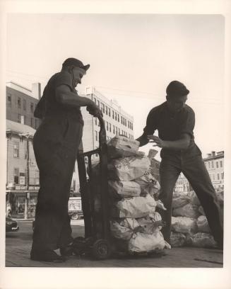 Untitled (two men stacking sacks of Maine potatoes)