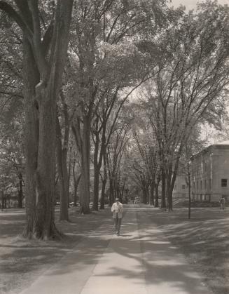 Man walking and reading