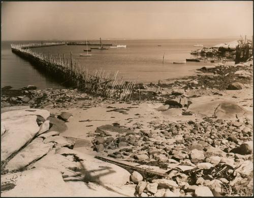 [Sardine net at Spruce Head]