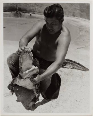 Seminole Alligator Wrestler, Ft. Lauderdale, Florida