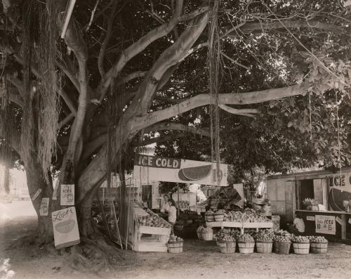 Fruit Market, South Dixie Highway, Miami, Florida 