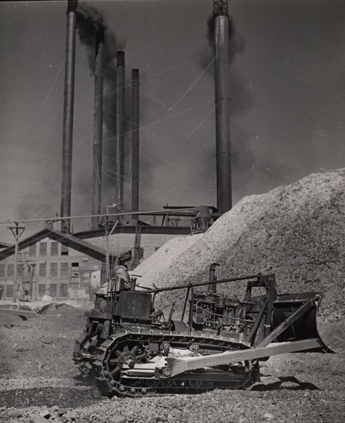 [Red River Logging Company]