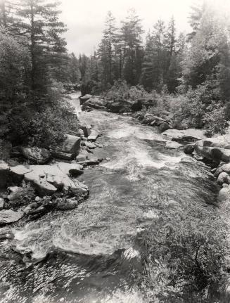 Barrows Falls, Piscataquis River, Maine