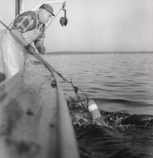 Lobster fisherman in Maine